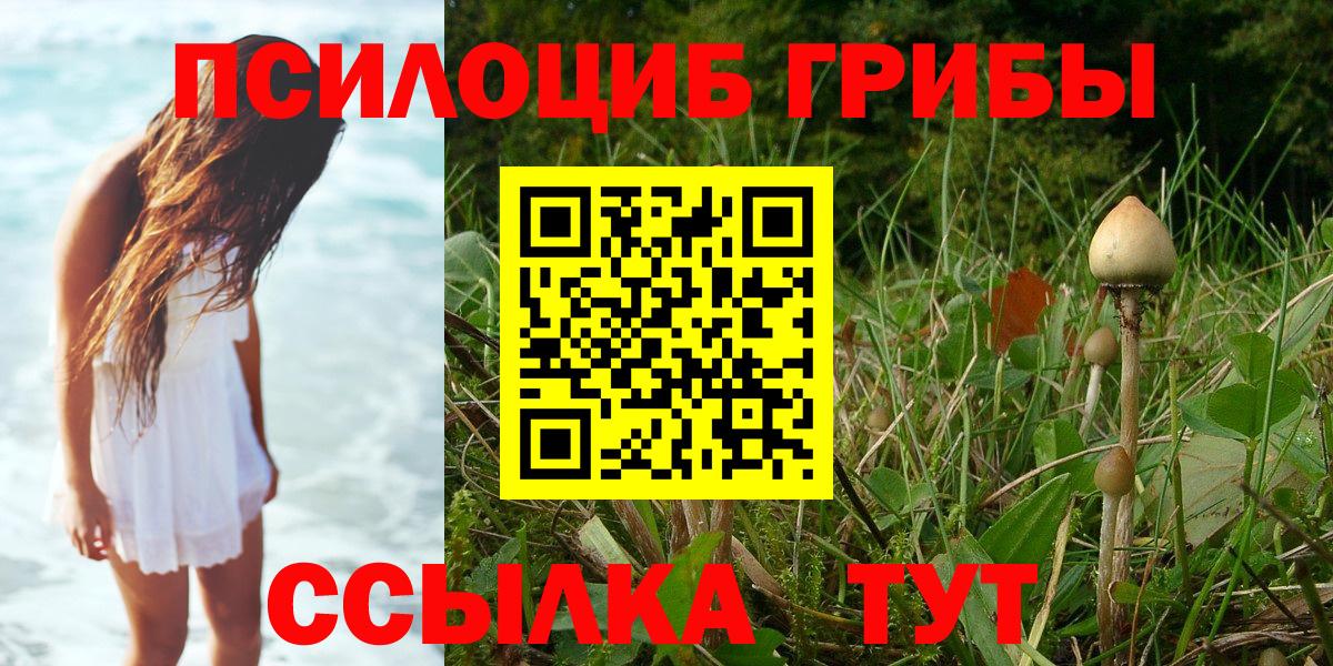 Псилоцибиновые грибы мицелий Владимир