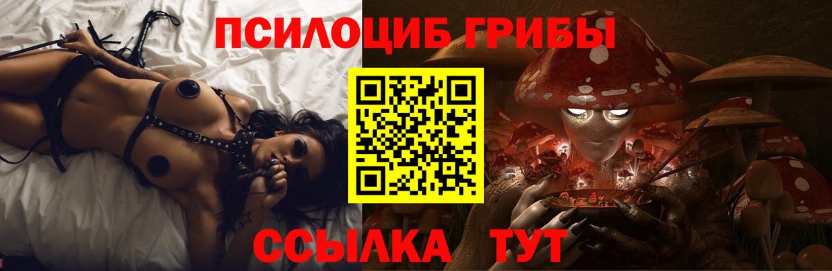 Галлюциногенные грибы ЛСД  Псилоцибиновые грибы прущие грибы  Вход с VPN  где купить   Владимир 